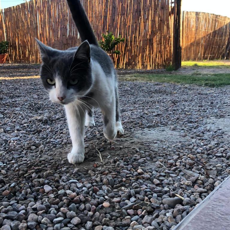 El Encuentro Cabañas - Casa de 2 dormitorios - 11