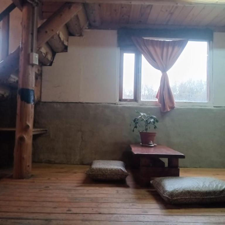 Serendipia Casa de campo en la costa del rio Quemquemtreu Ruta40 - Casa de 2 dormitorios - 10