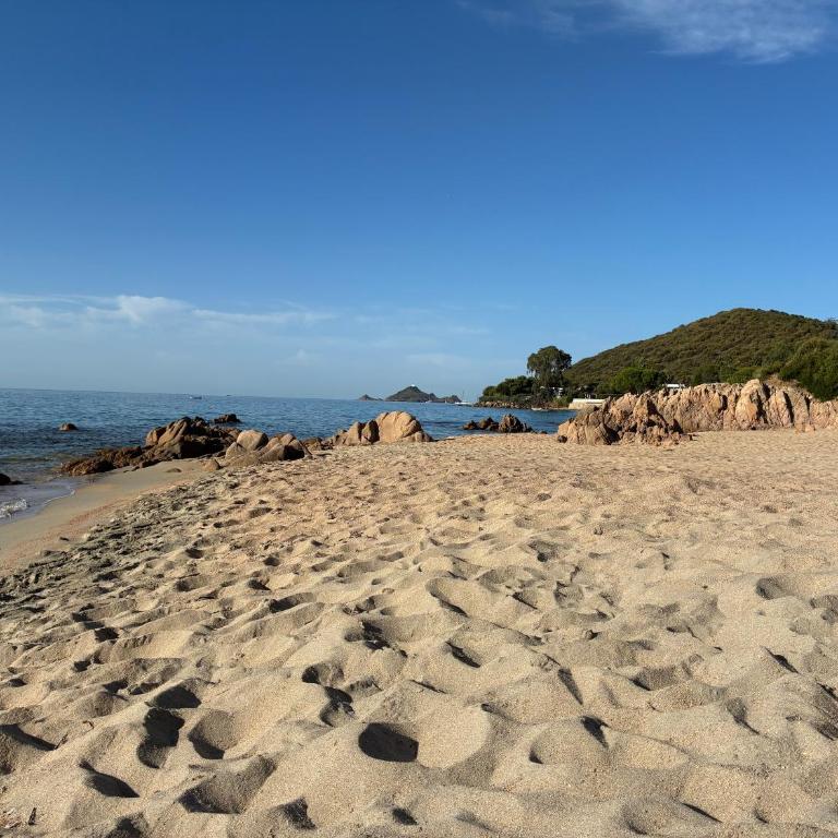 Cocon chaleureux bord de plage vue sanguinaire - One-Bedroom Apartment - 11