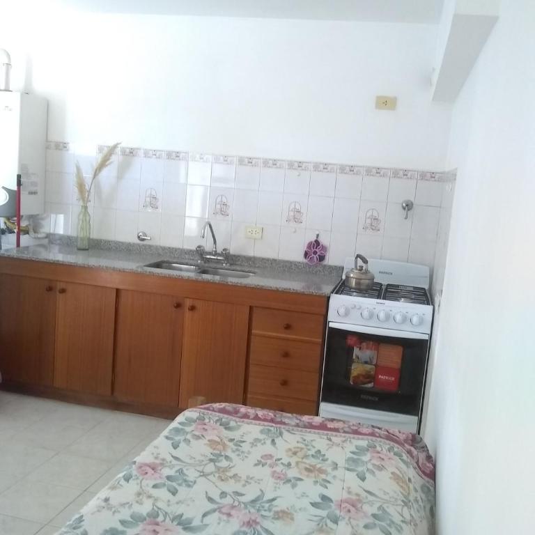 Paraísos Del Sur - Apartamento con vistas al lago - 10