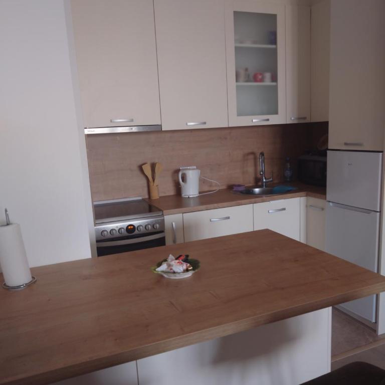 Sarajevo Tower Apartman - cozy & central - Apartman sa 1 Spavaćom Sobom - 10