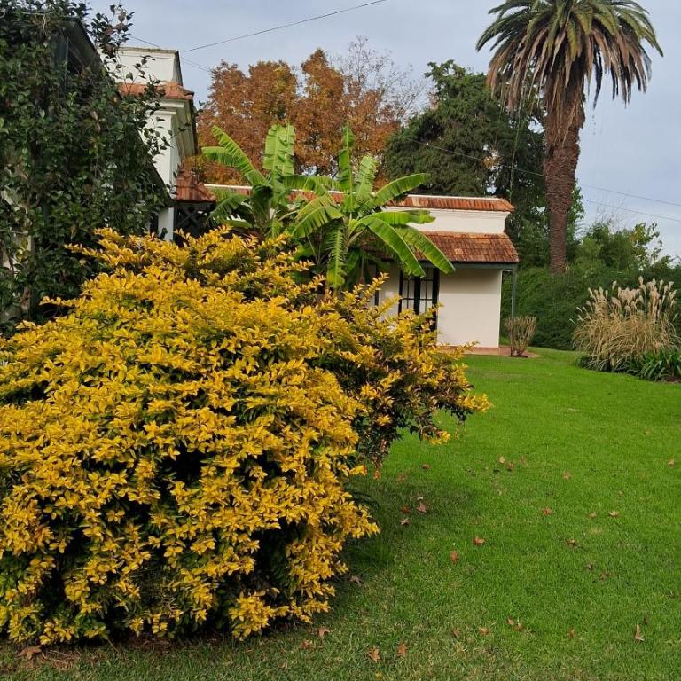 Villamaria - Villa - 8