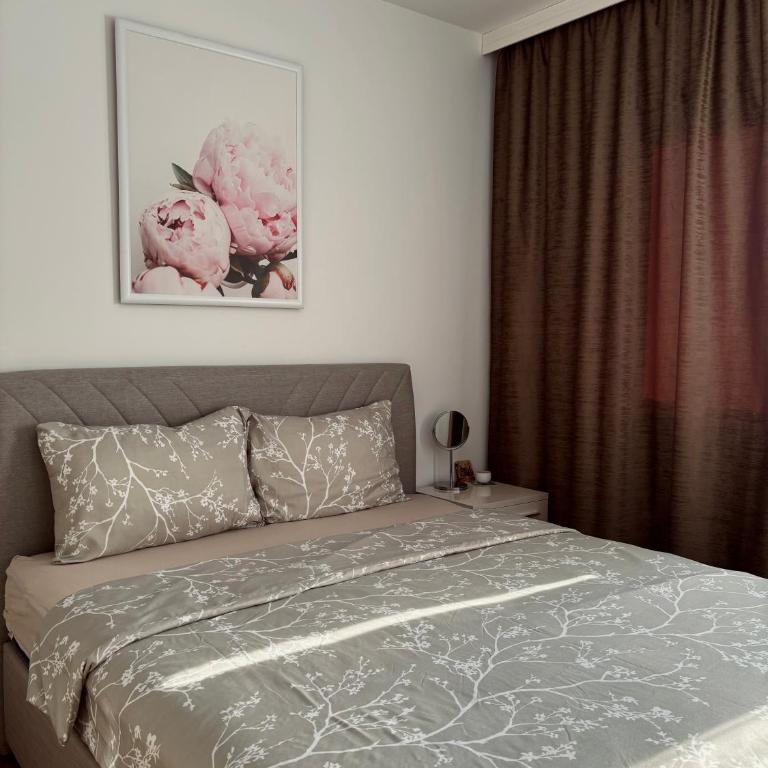 Apartment Lena Mostar - Apartman sa 1 Spavaćom Sobom - 6