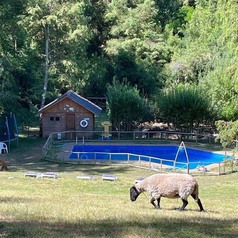 Cabañas Recinto - Two-Bedroom Chalet - 9