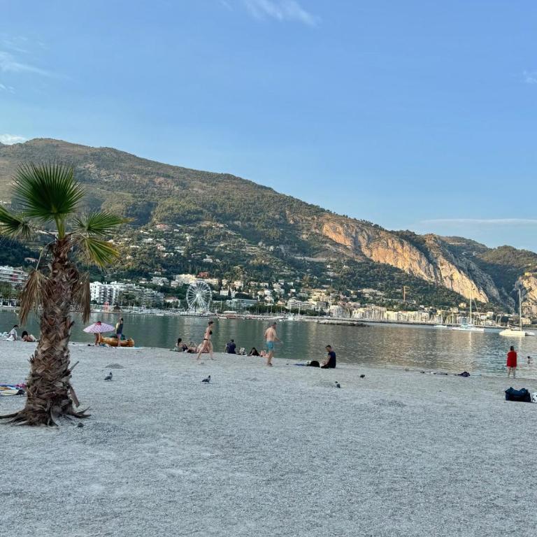 Casa Sud Menton Superbe front mer, appartement rénové, parking & climatisation - Studio mit Meerblick - 38