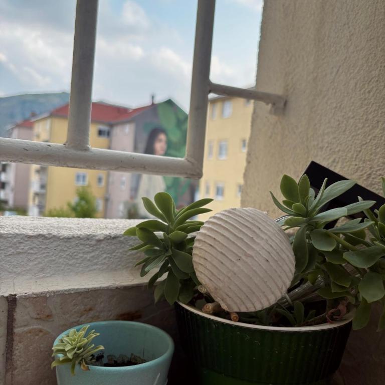 Apartment Lena Mostar - Apartman sa 1 Spavaćom Sobom - 26
