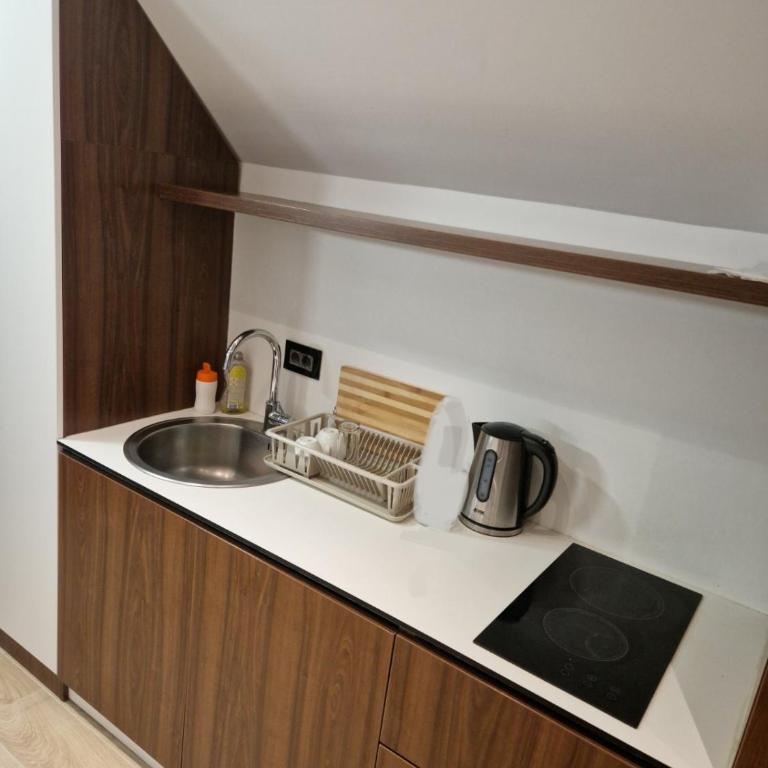 Velvet Studio Zoned Kopaonik - Apartment - 57