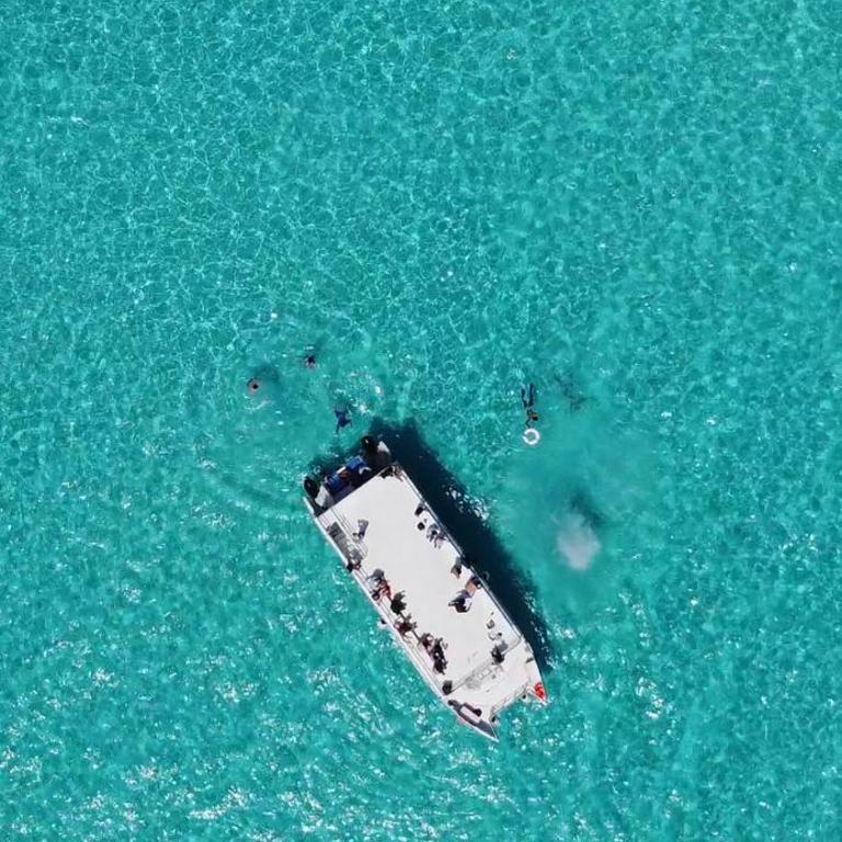 Catamaran Fragata Cancun - Mobile Home - 4