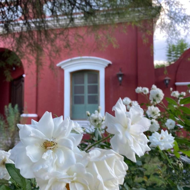 Casa de Campo - Villa de 2 dormitorios - 26