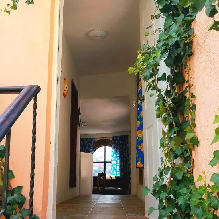 El Bello Jardín de Chela - Two-Bedroom Apartment - 9