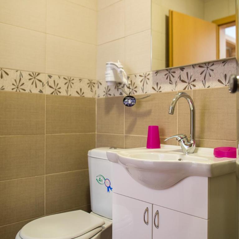 Villa Sandra - Apartman s 1 Spavaćom Sobom i Terasom - 18