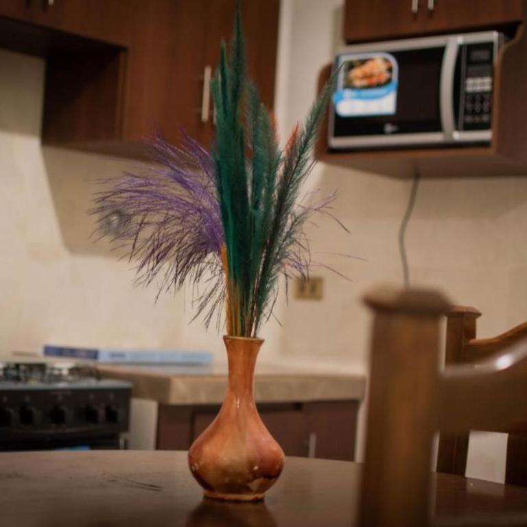 Departamento comodo y centrico en la llajta - One-Bedroom Apartment - 13