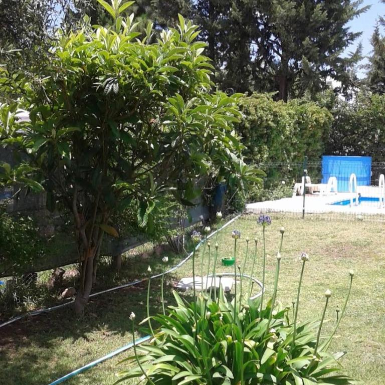 Vistalba Country - Casa de 2 dormitorios - 4