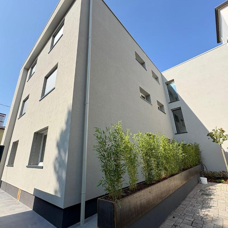 Welc-ōM Tommaseo Green Building Business Free Parking - Appartamento con 2 Camere da Letto - 8