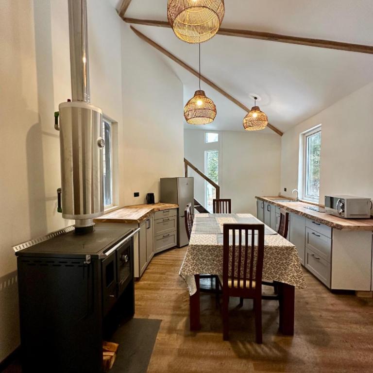 Peumañanku sueño de aguila - Three-Bedroom Apartment - 6