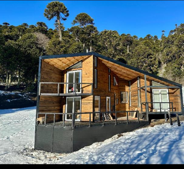 Peumañanku sueño de aguila - Three-Bedroom Apartment - 11
