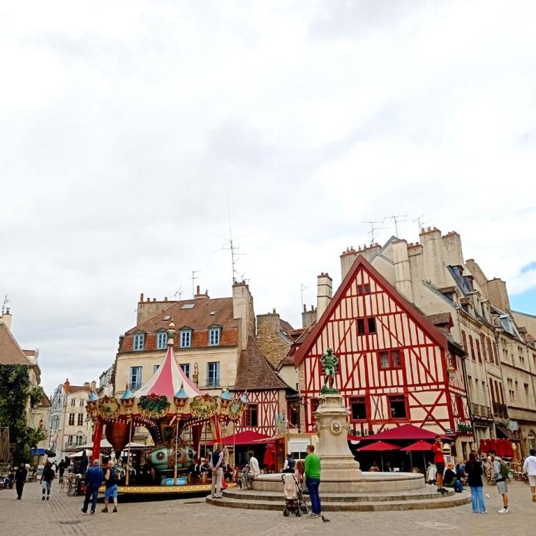 Le Préfecture - Hôtel particulier au coeur de Dijon - Apartamento de 1 dormitorio - 40