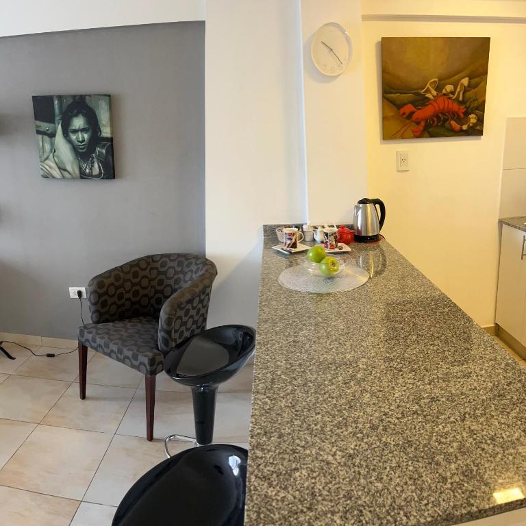 Rosario frente al Rio - One-Bedroom Apartment - 18