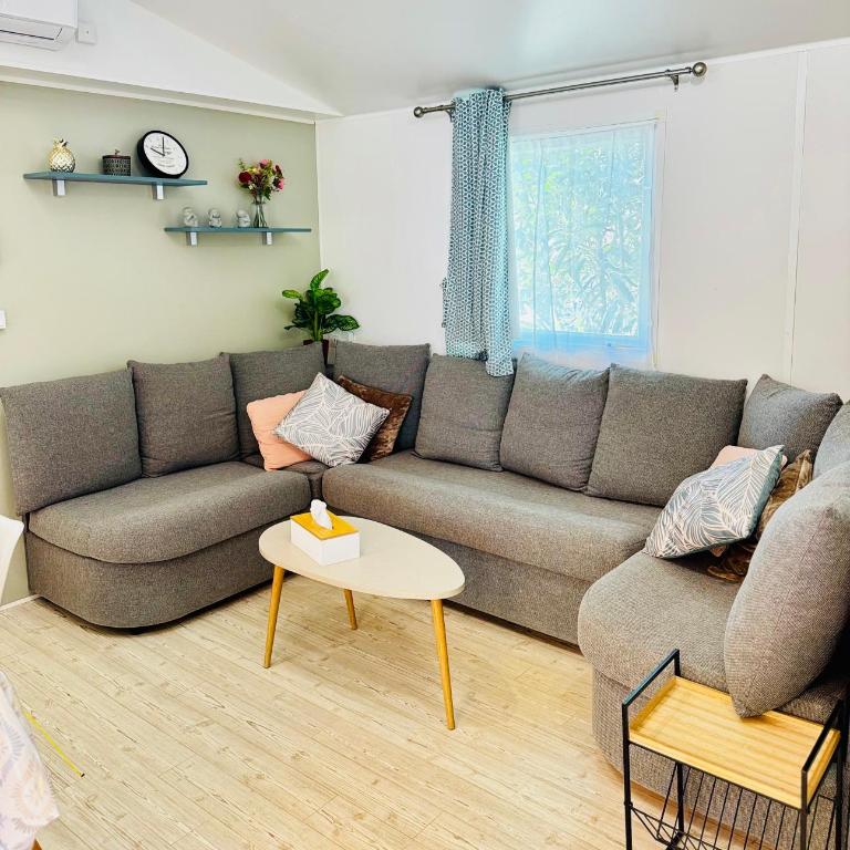 Mobil-home ES119 Le Montourey Frejus - Mobilheim - 7