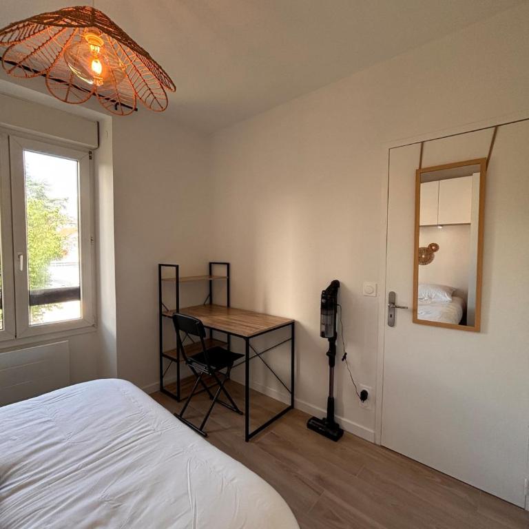 Le Scandinave - refurbished - tram stop - Appartement 1 Chambre - 7