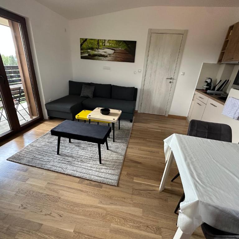 Duplex Apartman Marina Zlatibor - Duplex Apartment - 23