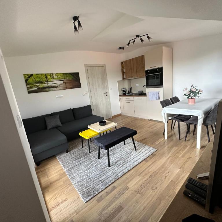 Duplex Apartman Marina Zlatibor - Duplex Apartment - 24