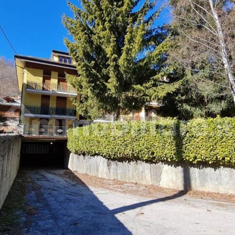 BUONAVACANZA IN MONTAGNA - Appartamento - 7