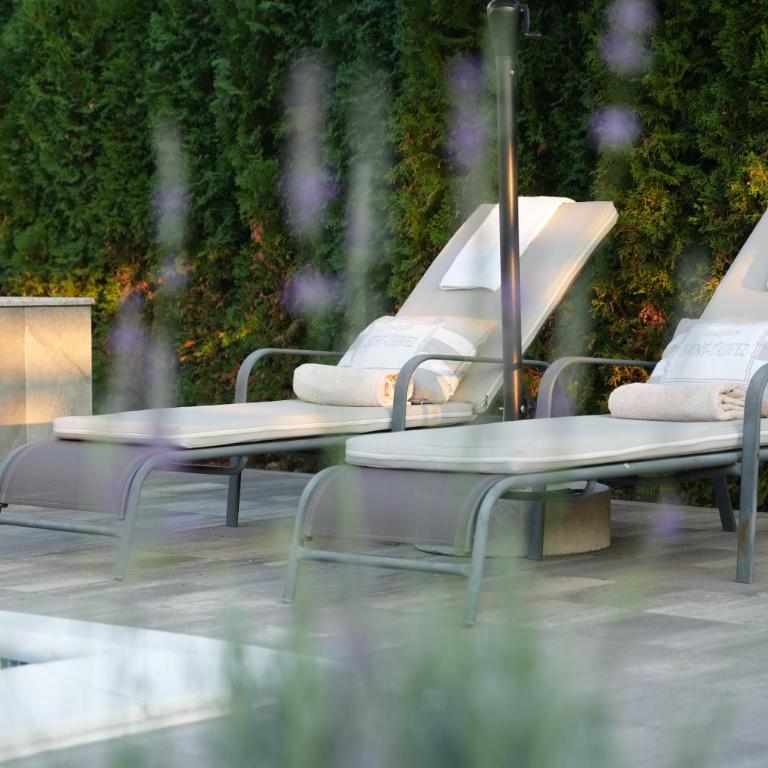 LUXIA PRIVATE ESTATE Sauna & Pool x Jacuzzi with Fireplace outdoor lounge - Vila sa Sopstvenim Bazenom - 35