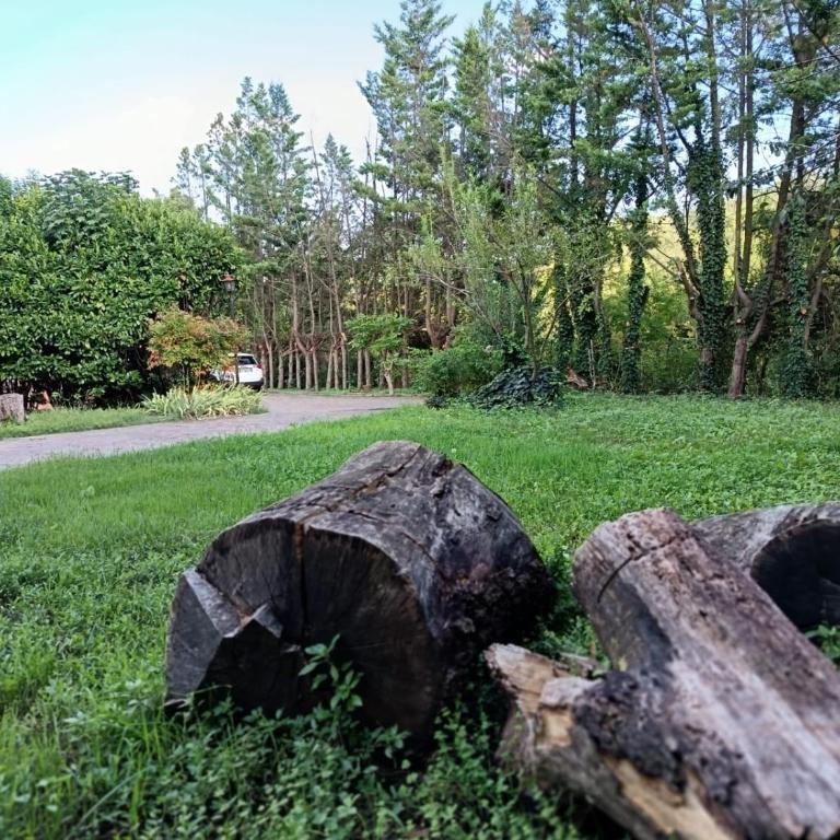 Villa Piccolomini - Casa Vacanze con 3 Camere da Letto - 28