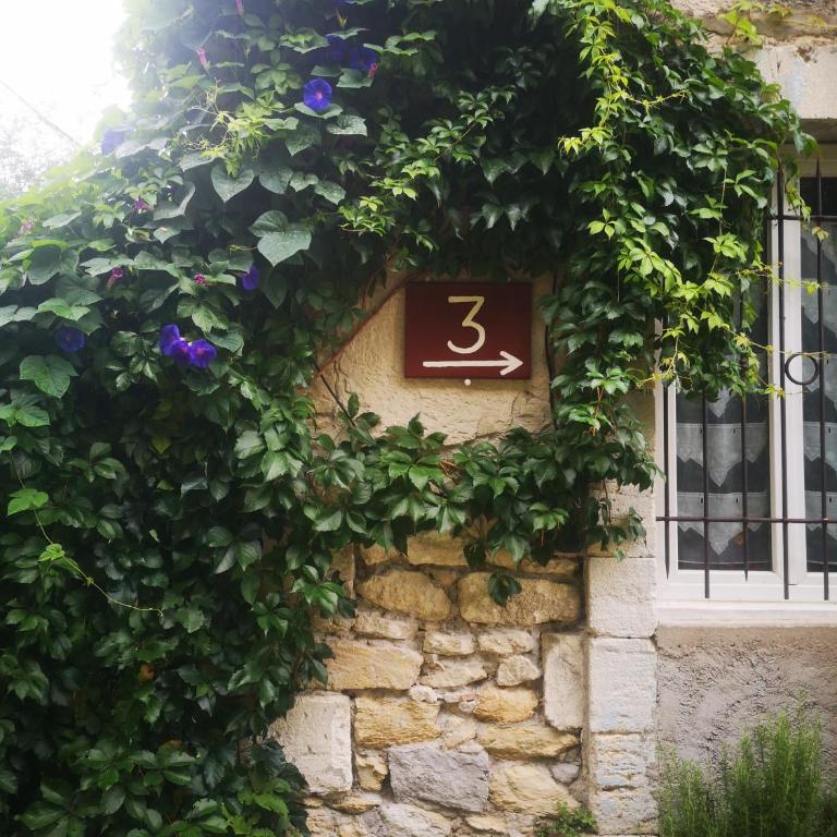 Appartement de plain-pied avec jardin - One-Bedroom Apartment - 2