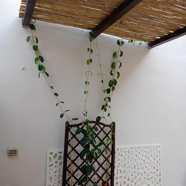 Stampace House - Appartamento con 1 Camera da Letto - 37