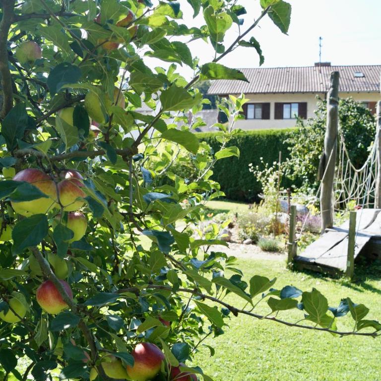 Grüne Oase - Apartment mit 2 Schlafzimmern und Terrasse - 33