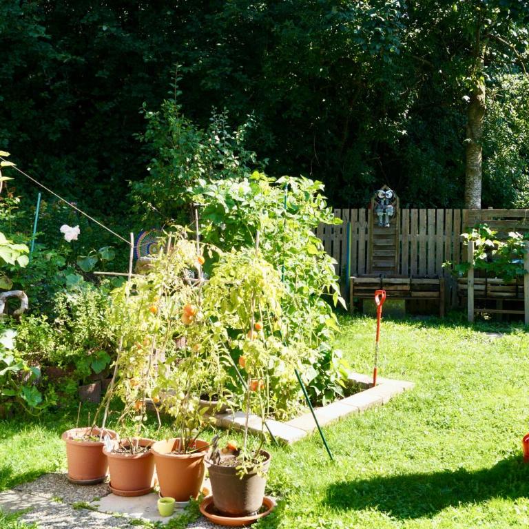 Grüne Oase - Apartment mit 2 Schlafzimmern und Terrasse - 35