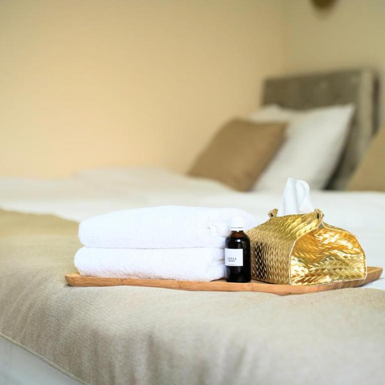 LUXIA PRIVATE ESTATE Sauna & Pool x Jacuzzi with Fireplace outdoor lounge - Vila sa Sopstvenim Bazenom - 11