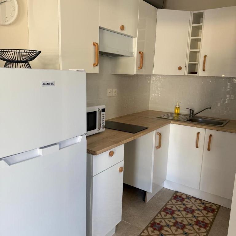 Charmant appartement, piscine 15 min de Nice - Appartement 1 Chambre - 4