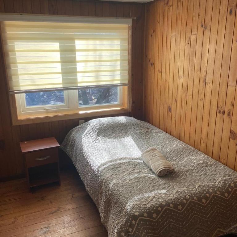 Hospedaje Corina Coyhaique - Single Room - 2