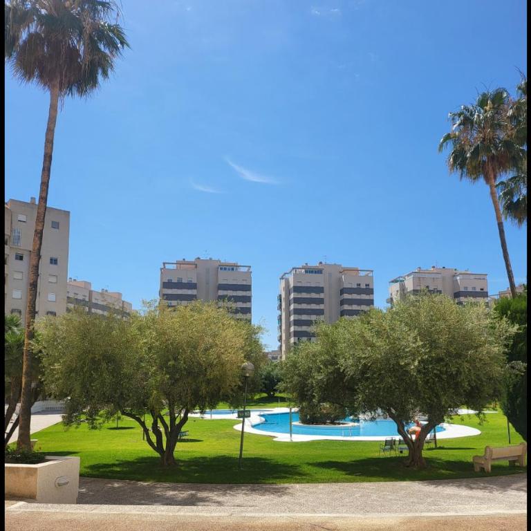 Jardin del Mar Playa Muchavista - El Campello - Alicante - Apartamento - 24
