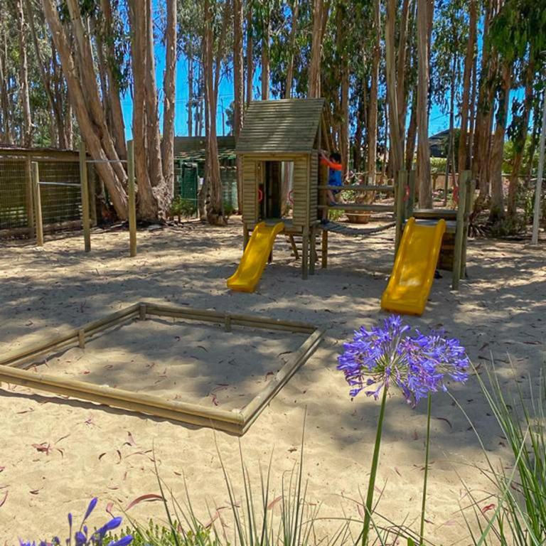 Departamento Algarrobo - Apartamento de 1 dormitorio - 3