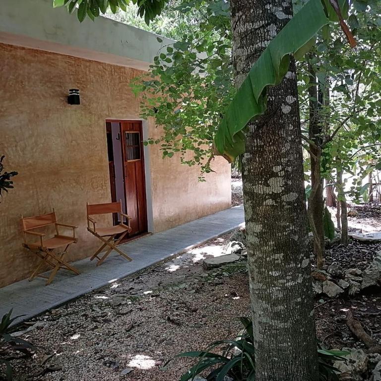 La Casita del Museo - Apartamento de 1 dormitorio - 6