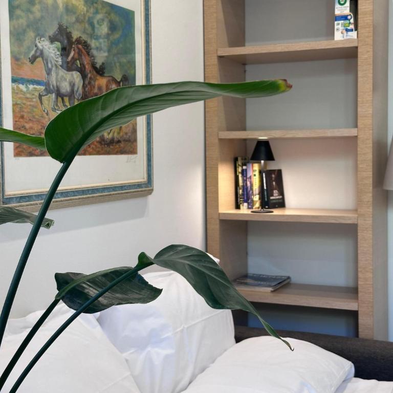 Tofane 29 - One-Bedroom Apartment - 23