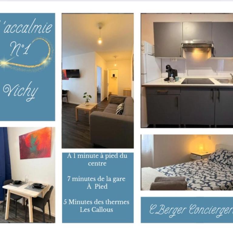 T2 Entièrement neuf, Central - Appartement 1 Chambre - 1