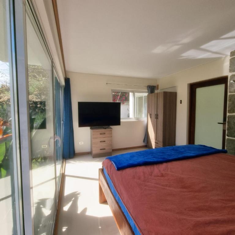 Departamento dos habitaciones 2 banos privados y jardin - Habitación Doble con vistas al jardín - 1