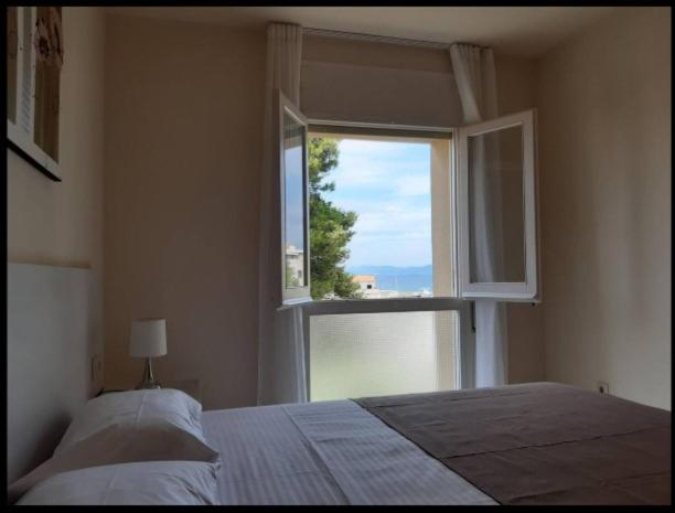 Clota Petita C20 - Apartment - 11