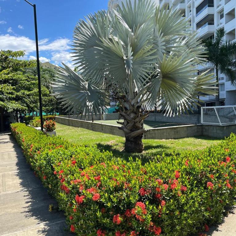 Apartasol vacacional - Two-Bedroom Apartment - 4