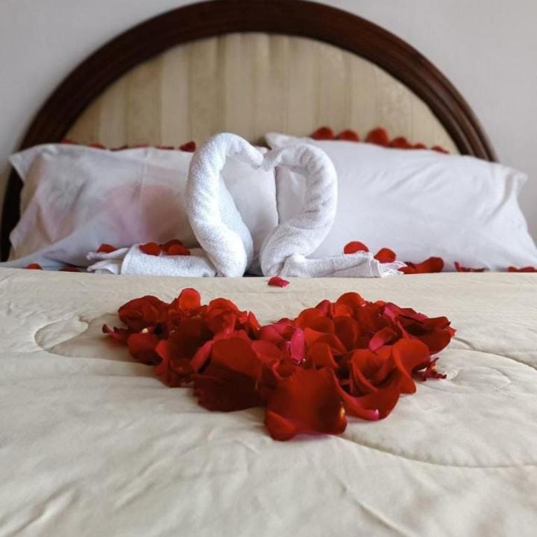 Hotel International Prestige - Habitación Individual - 2