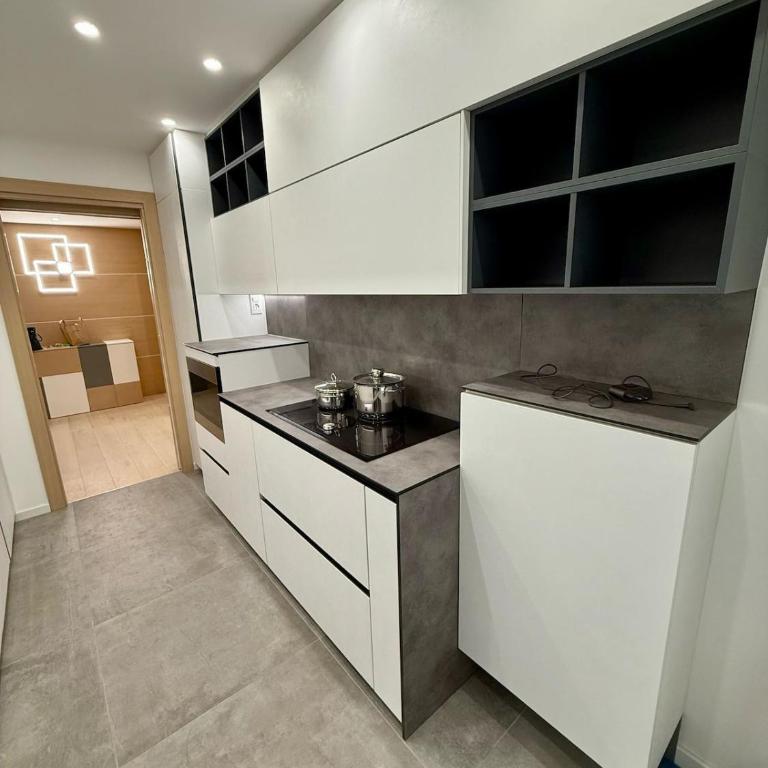Luxury Apartment in the heart of Principality of Monaco - Appartement - 28