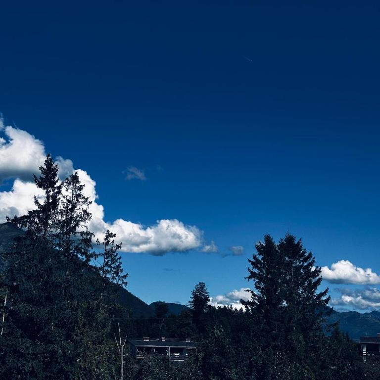 Alpenblick - Ferienwohnung Vockner - Apartment mit 1 Schlafzimmer - 24