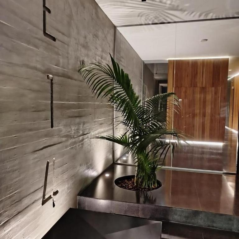 Apartamento Premiun Catedral - Deluxe Queen Studio - 2