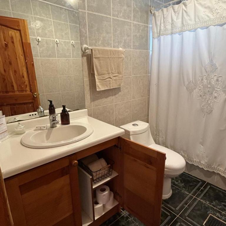 Hostal Tregualemu - Twin Room with Private Bathroom - 3
