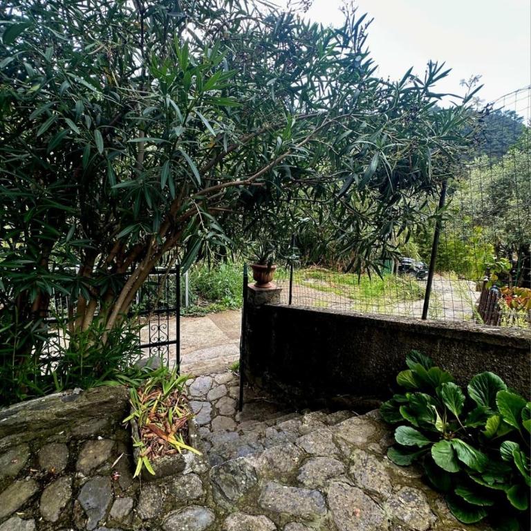 Mare di Luna - AC - WiFi - Garden - 2 Parking Spaces - Apartamento - 36